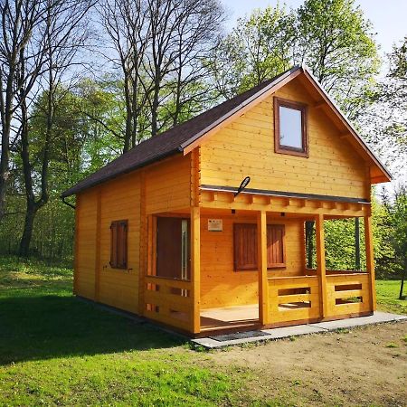 Villa Janowickie Zacisze Janowice Wielkie Exterior foto