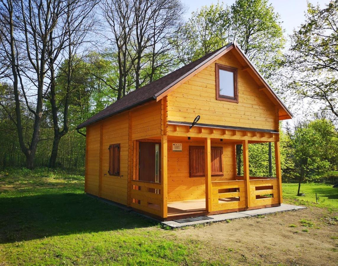 Villa Janowickie Zacisze Janowice Wielkie Exterior foto